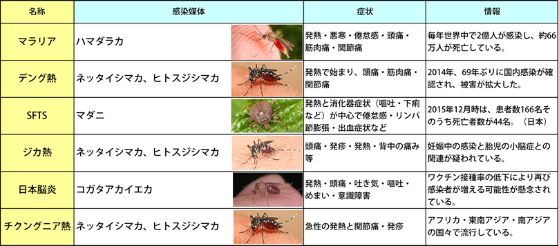 観戦媒体の蚊一覧