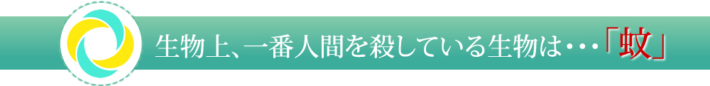 生物上、一番人間を殺している生物は・・・蚊